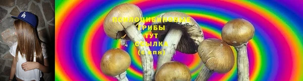 скорость Абаза